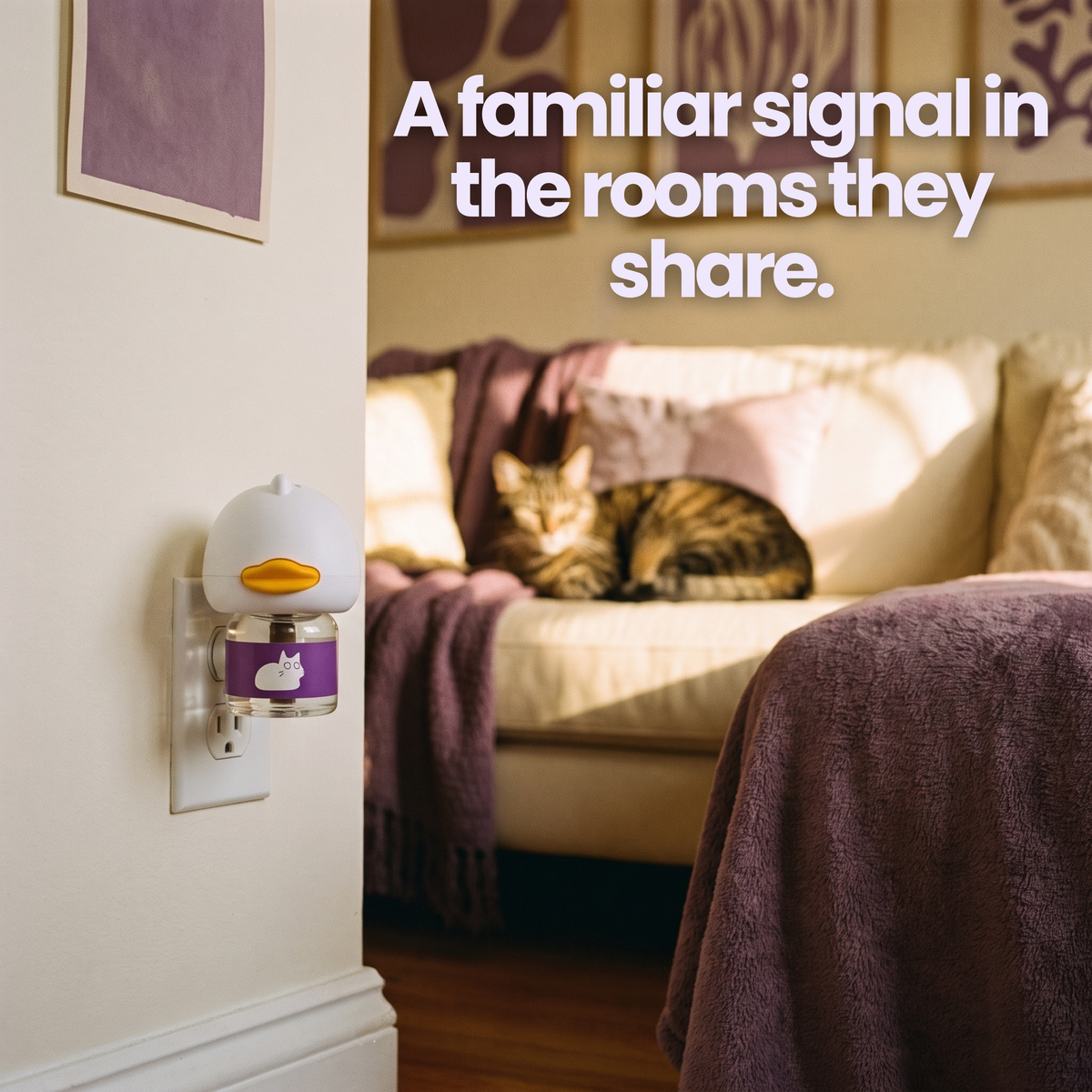 Meowllow Signalwell